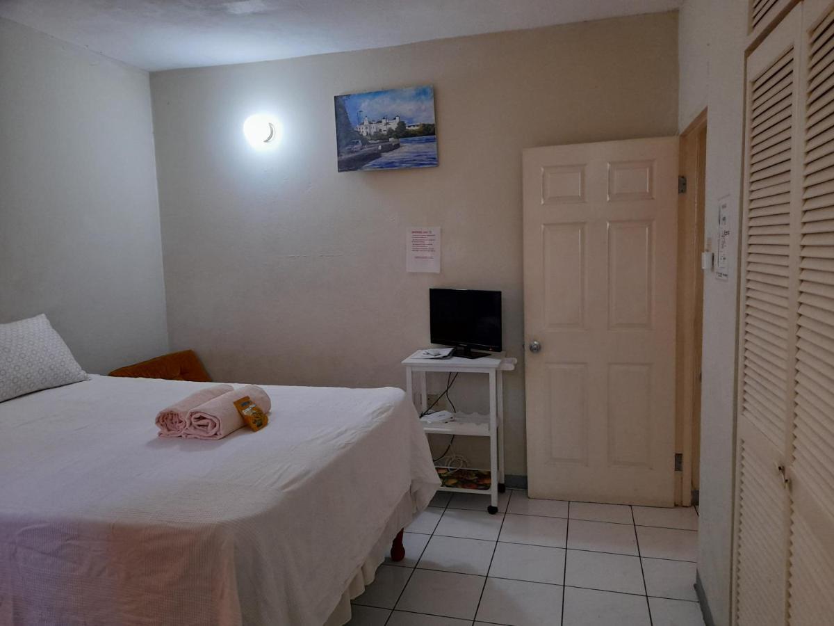 Camelia Rooms Kingston Eksteriør bilde