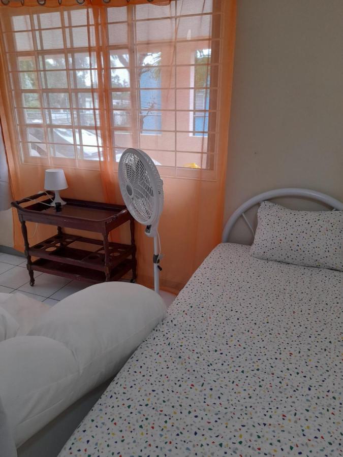 Camelia Rooms Kingston Eksteriør bilde